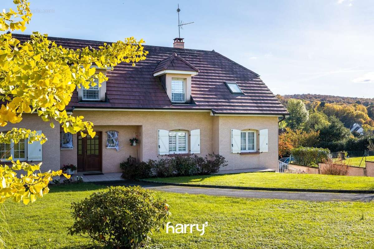 Maison 350 m² à Jouhe  - photo 4