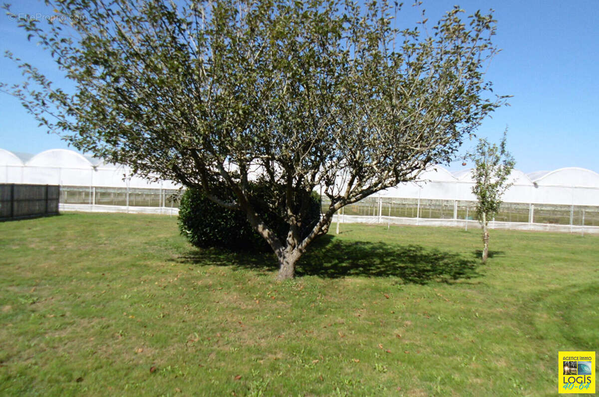 Maison à SAINT-ETIENNE-D'ORTHE