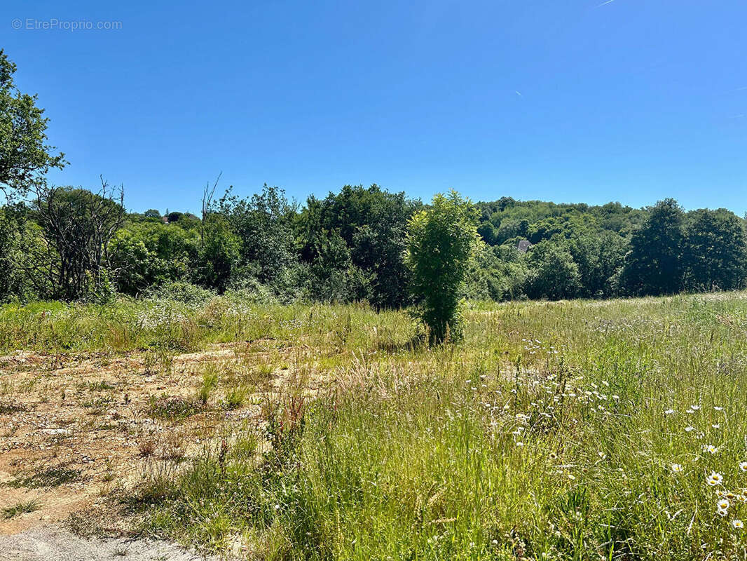 Maison à SAINT-PIERRE-LAFEUILLE