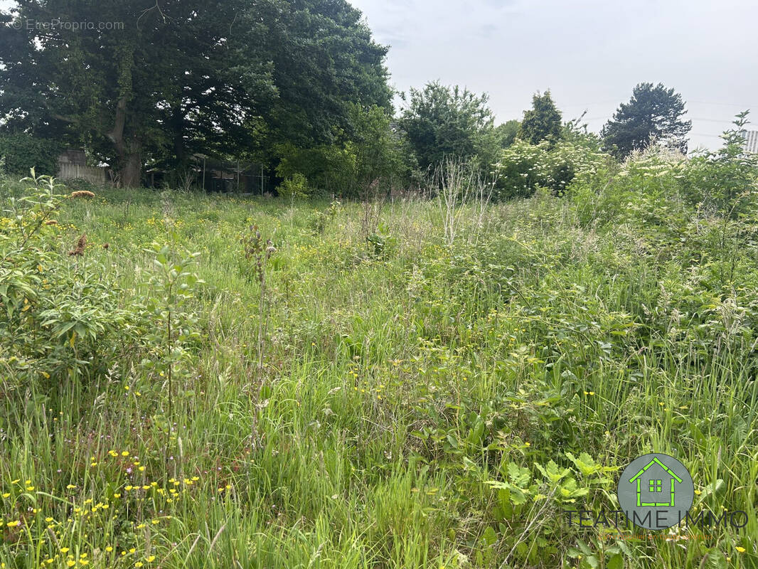 Maison à VILLENEUVE-D'ASCQ
