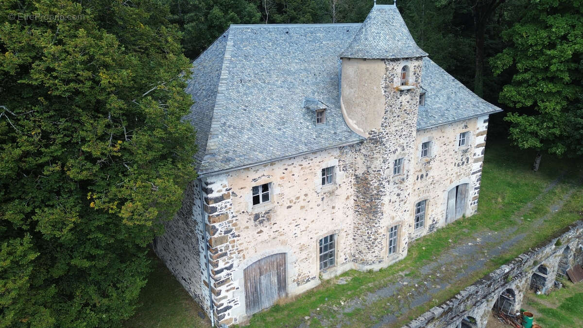 Château de Laguiole - photo 2