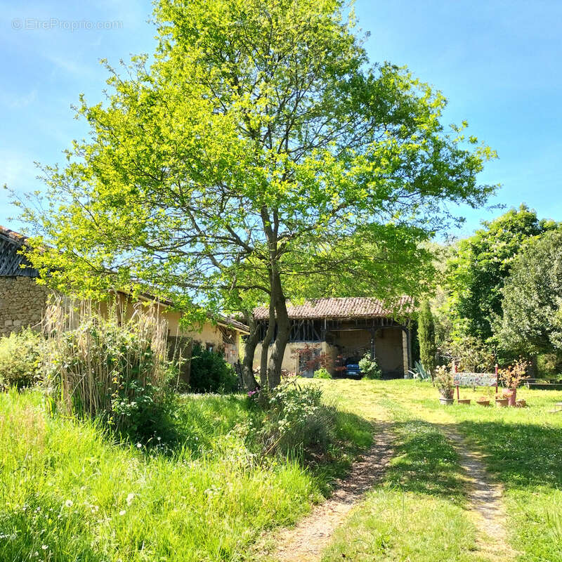 Maison à MASSEUBE
