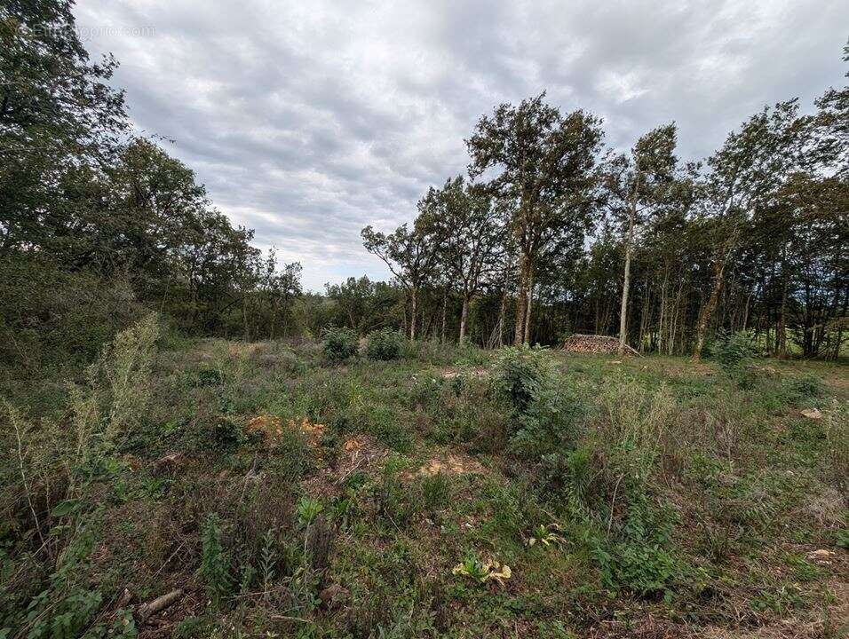 Terrain à LA CASSAGNE