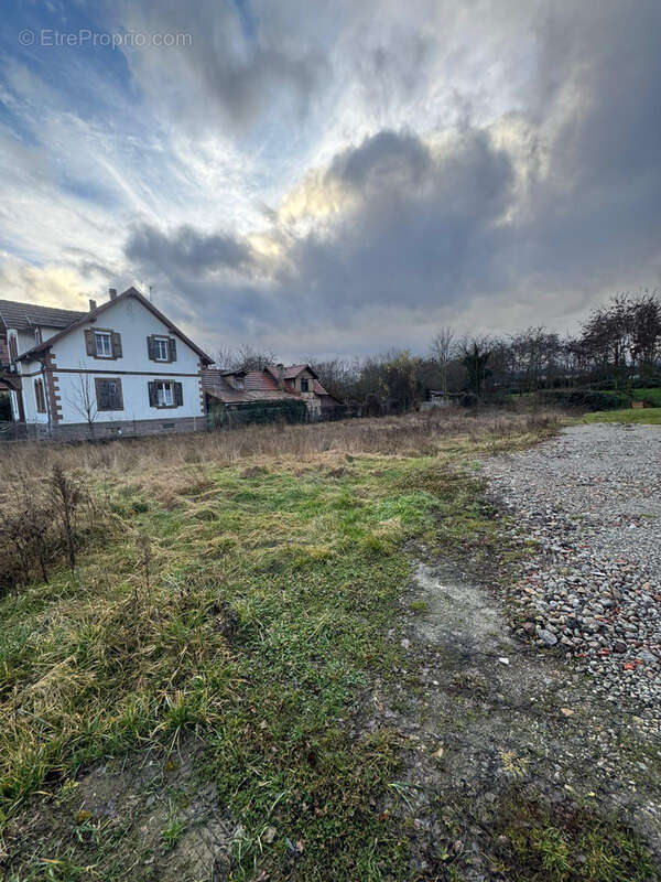 Terrain à NIEDERNAI