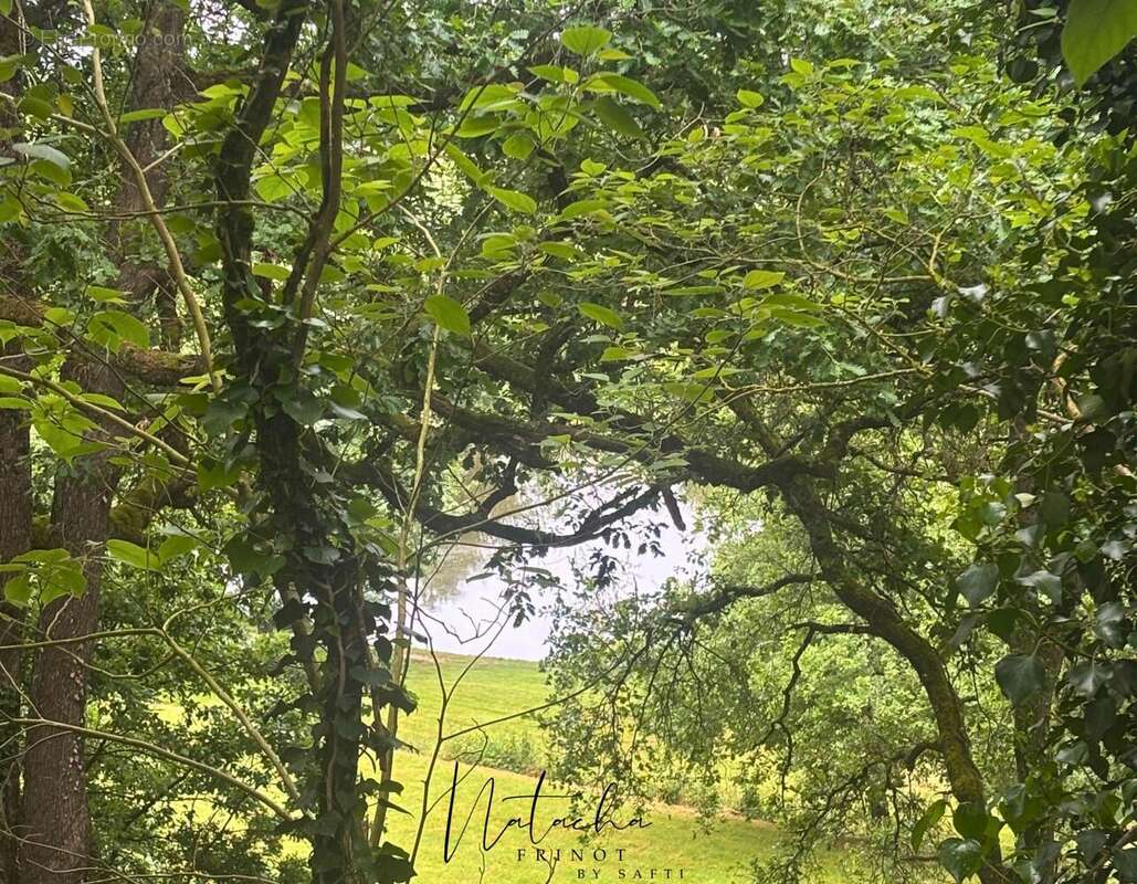 Photo 2 - Maison à FRONTON