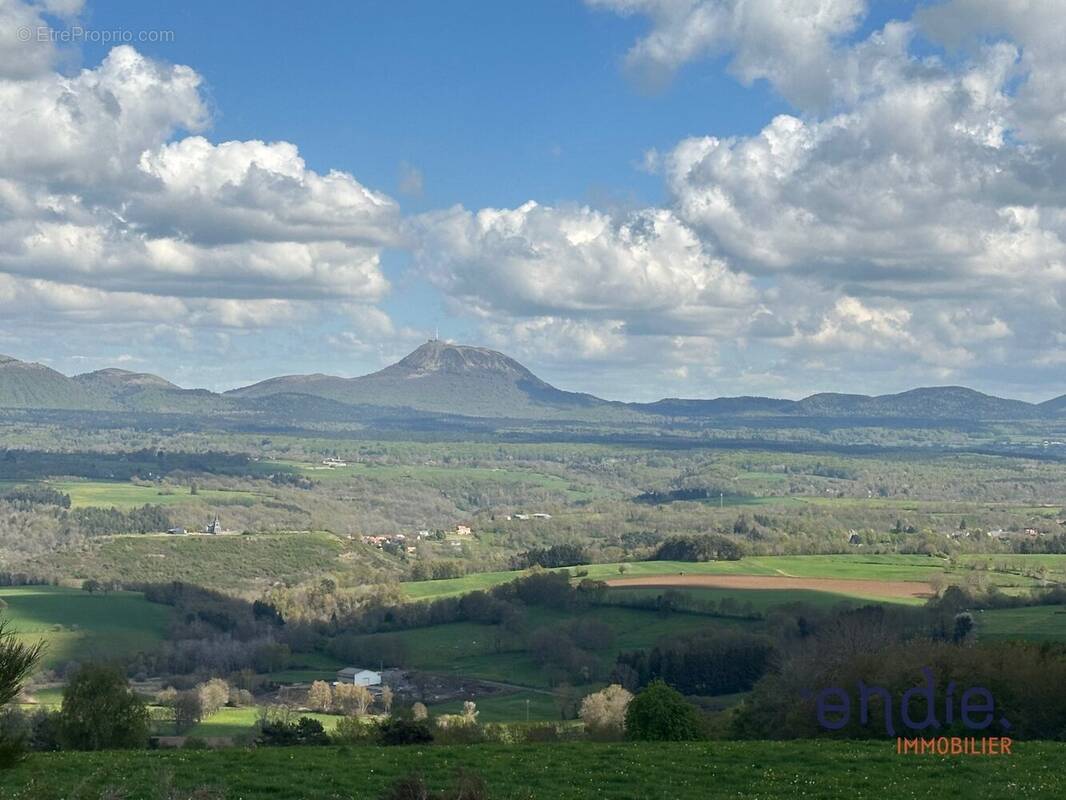 Terrain à SAINT-PIERRE-LE-CHASTEL