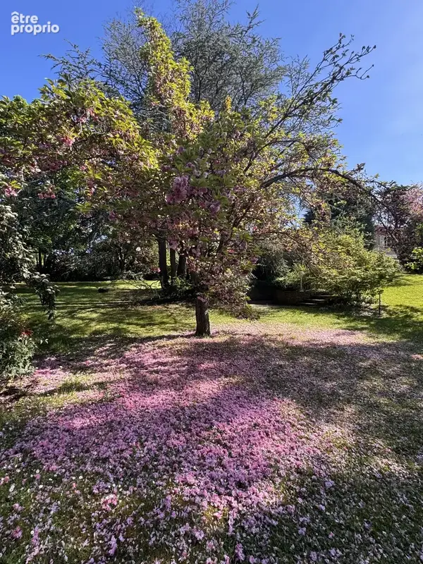 Maison familiale rare, avec vaste parc arboré et piscine - photo 4