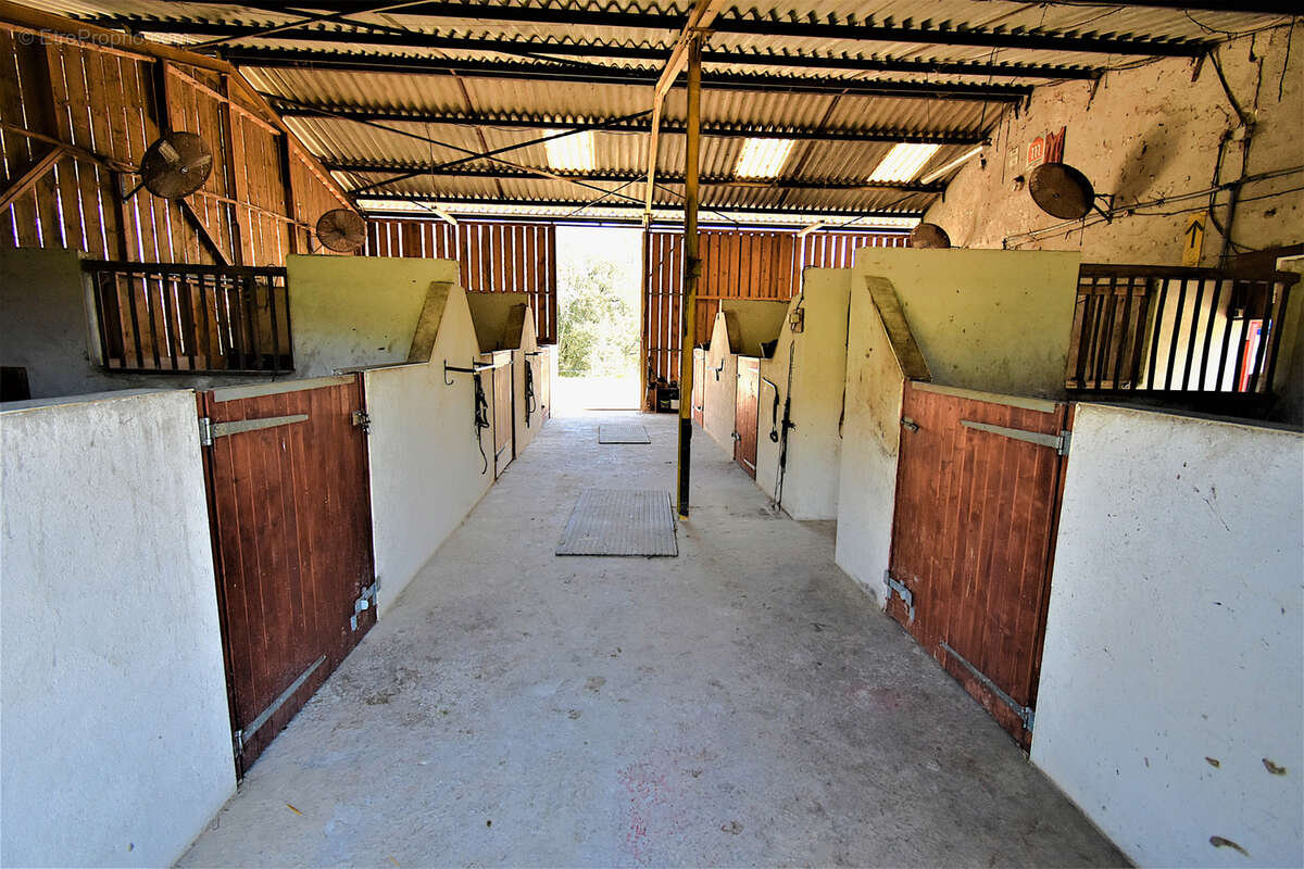 Maison à TOURNON-D'AGENAIS