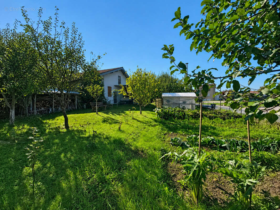Maison à CURCIAT-DONGALON