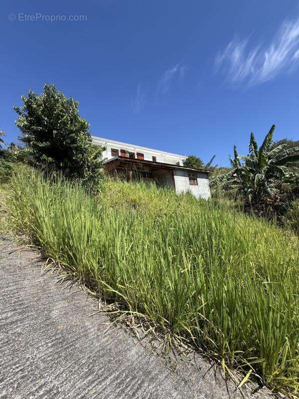 Maison 210 m² à Le Carbet  - photo 2