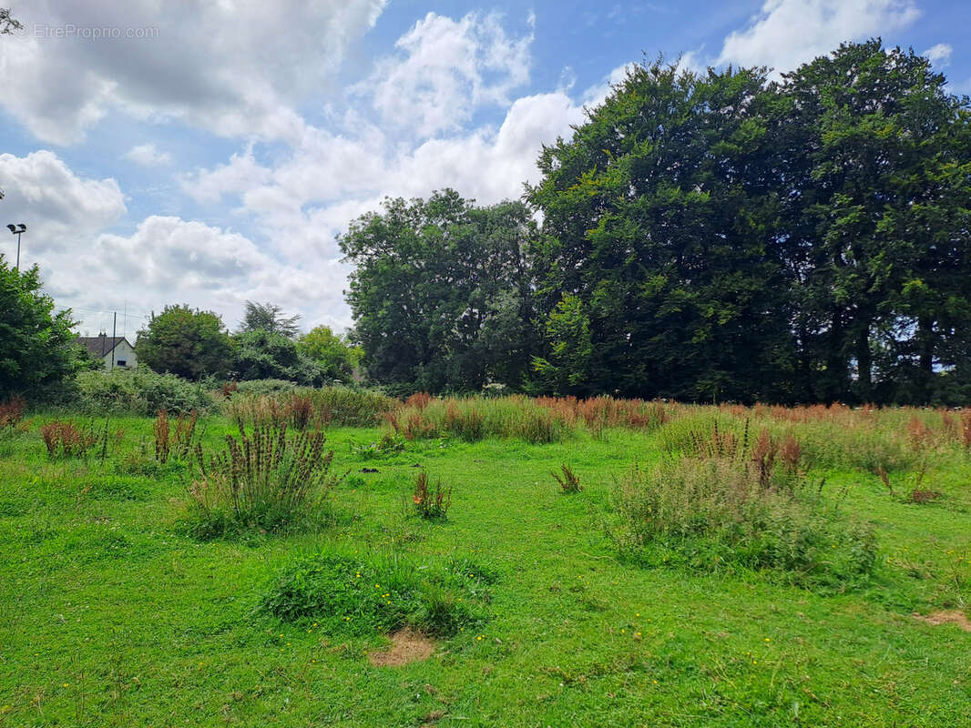 Terrain à SAINT-VALERY-EN-CAUX