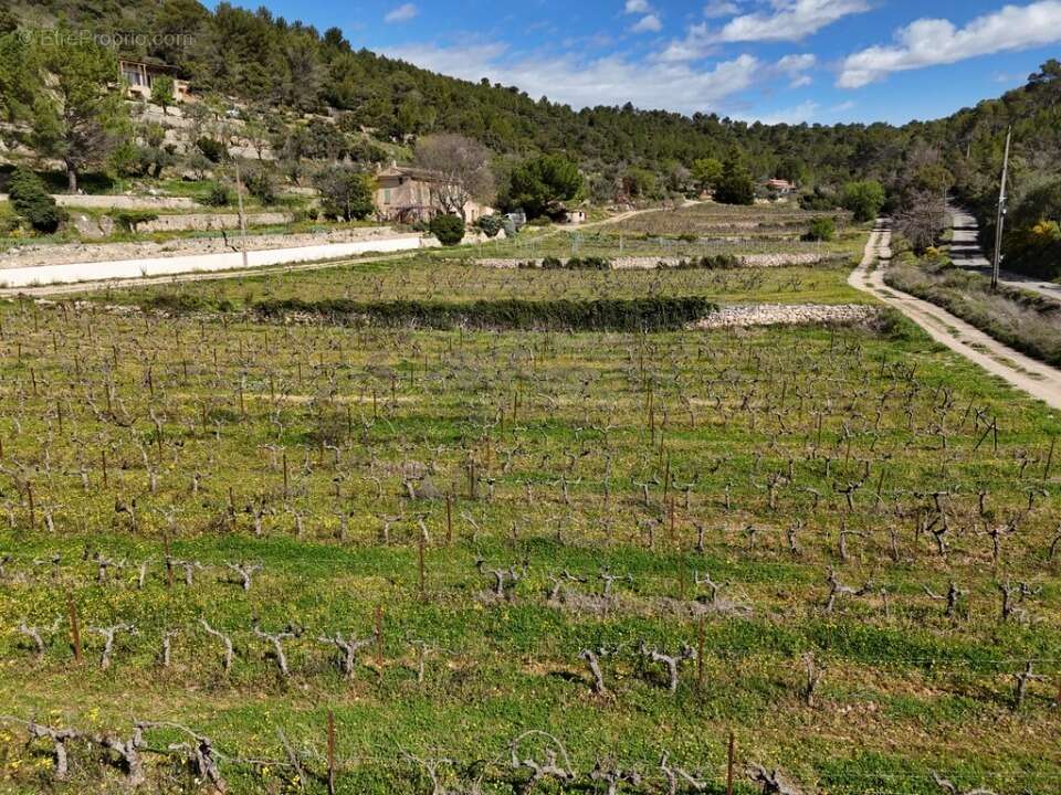 Terrain 1260 m² à Cotignac  - photo 4