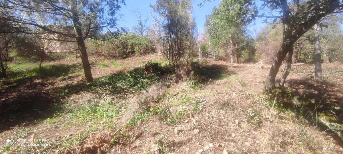 Terrain à VABRES