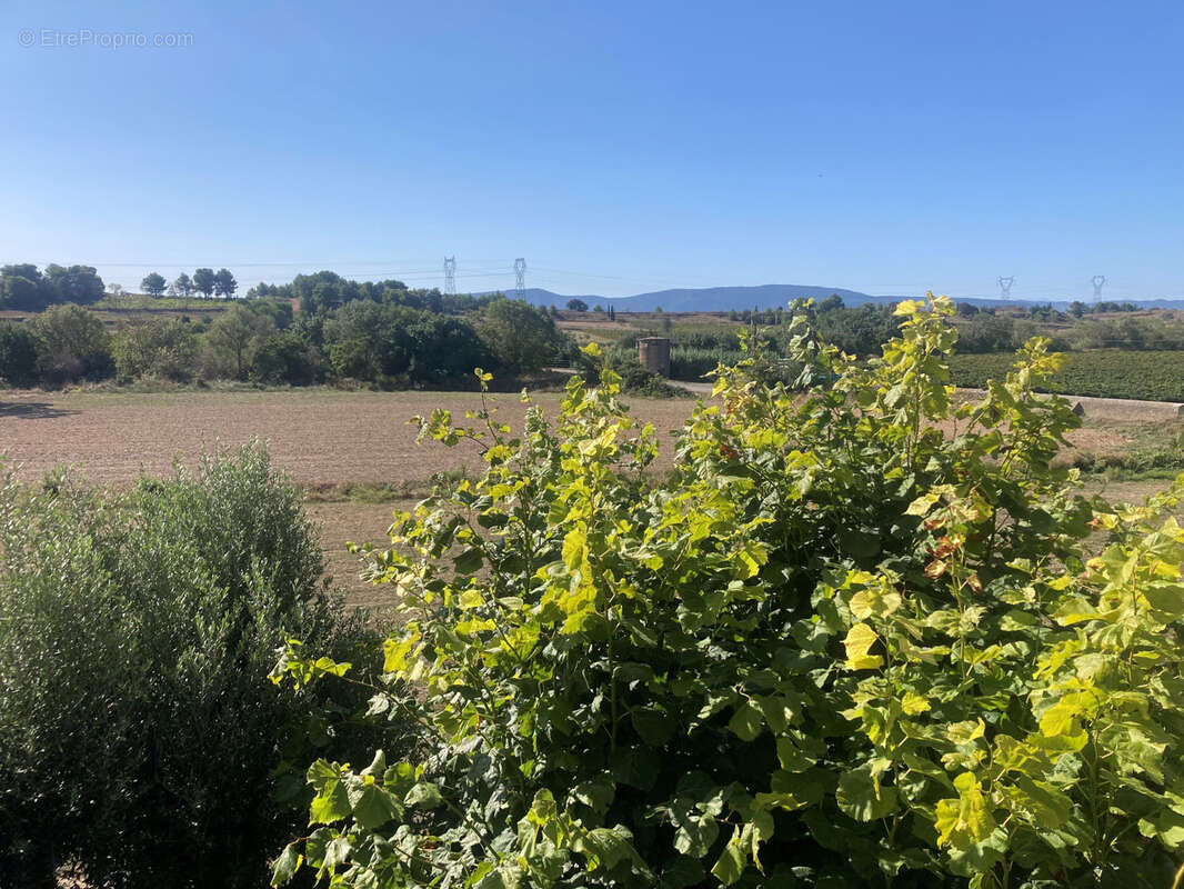 Minervois, 20mn Carcassonne Est, maison de maitre 8 chambres avec jardin et terrasse. - photo 27