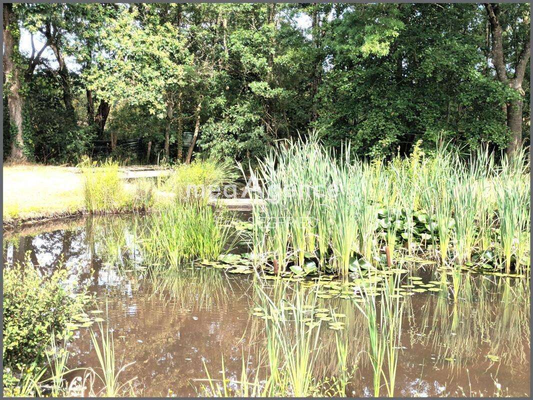 Un havre de paix, cerne par la nature!!! - photo 5