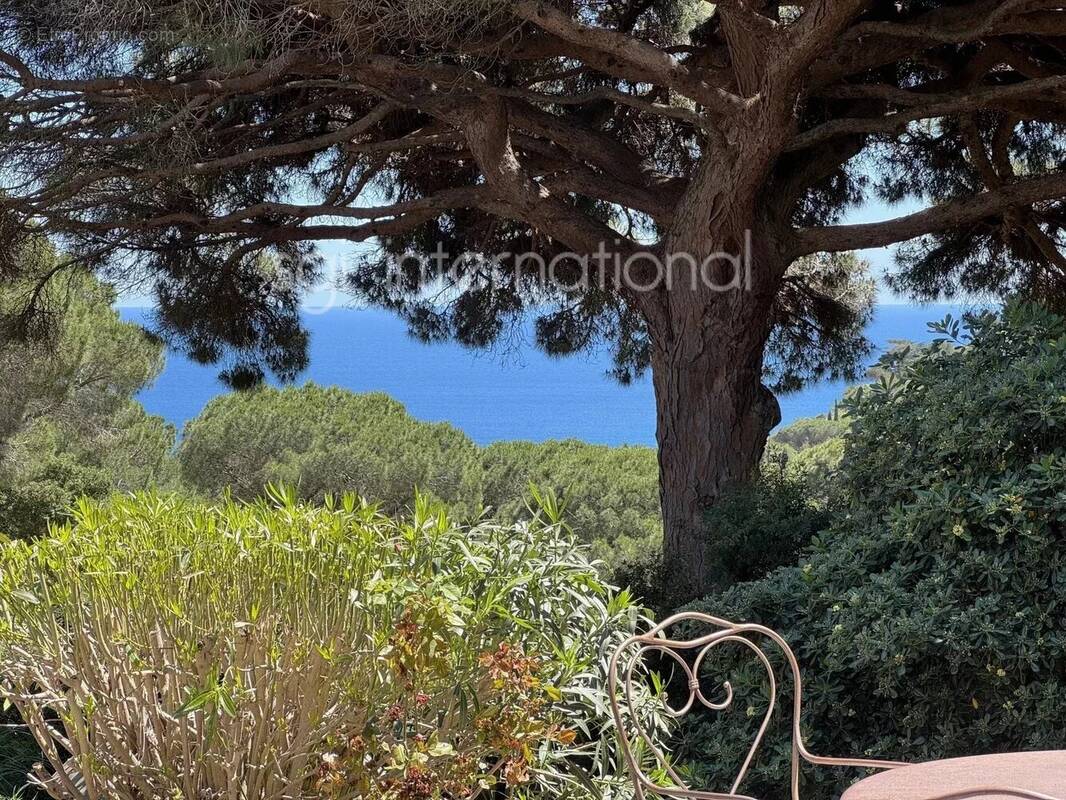 Maison à RAMATUELLE