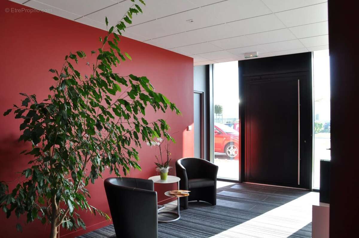 Commerce à L&#039;ILE-D&#039;OLONNE