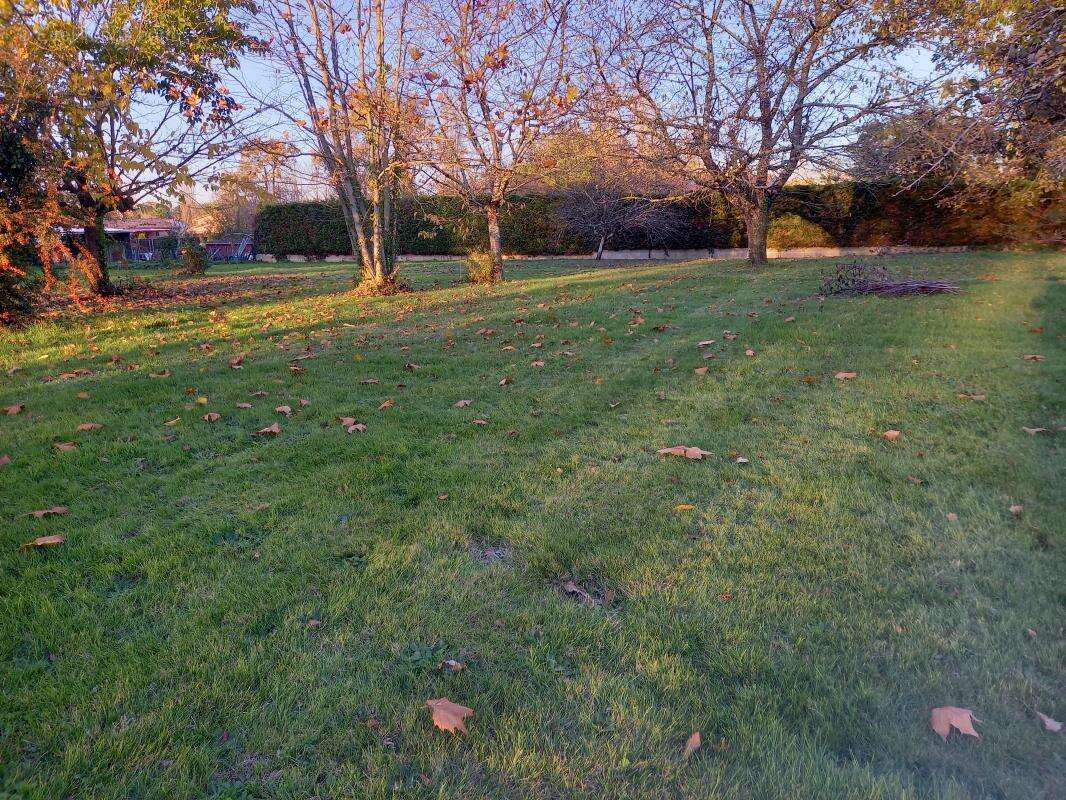 Terrain à SAINTE-EULALIE