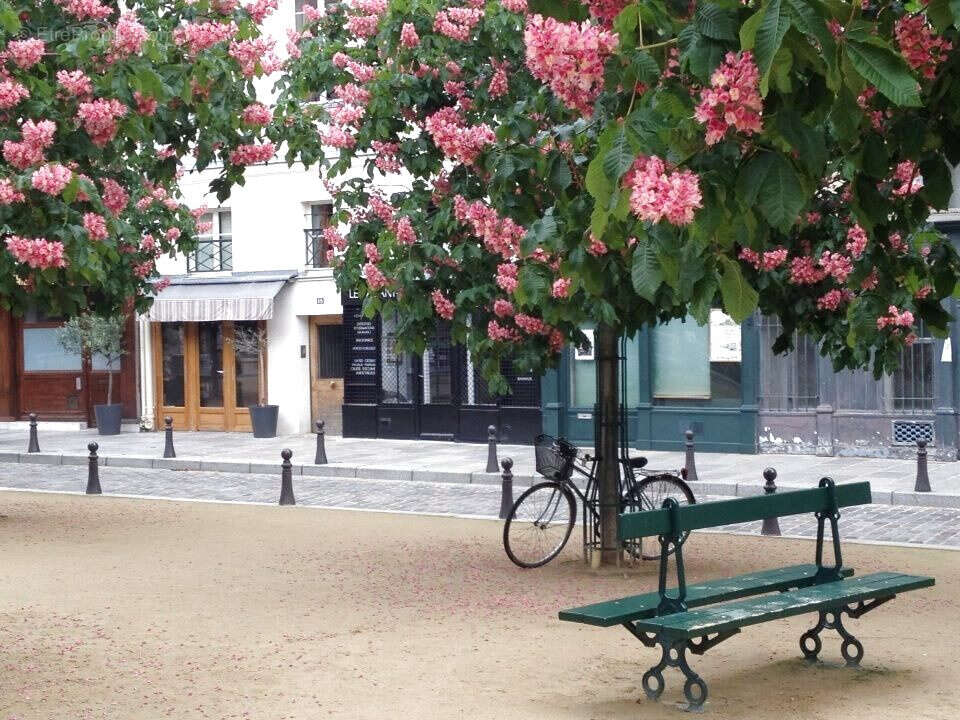 Commerce à PARIS-1E