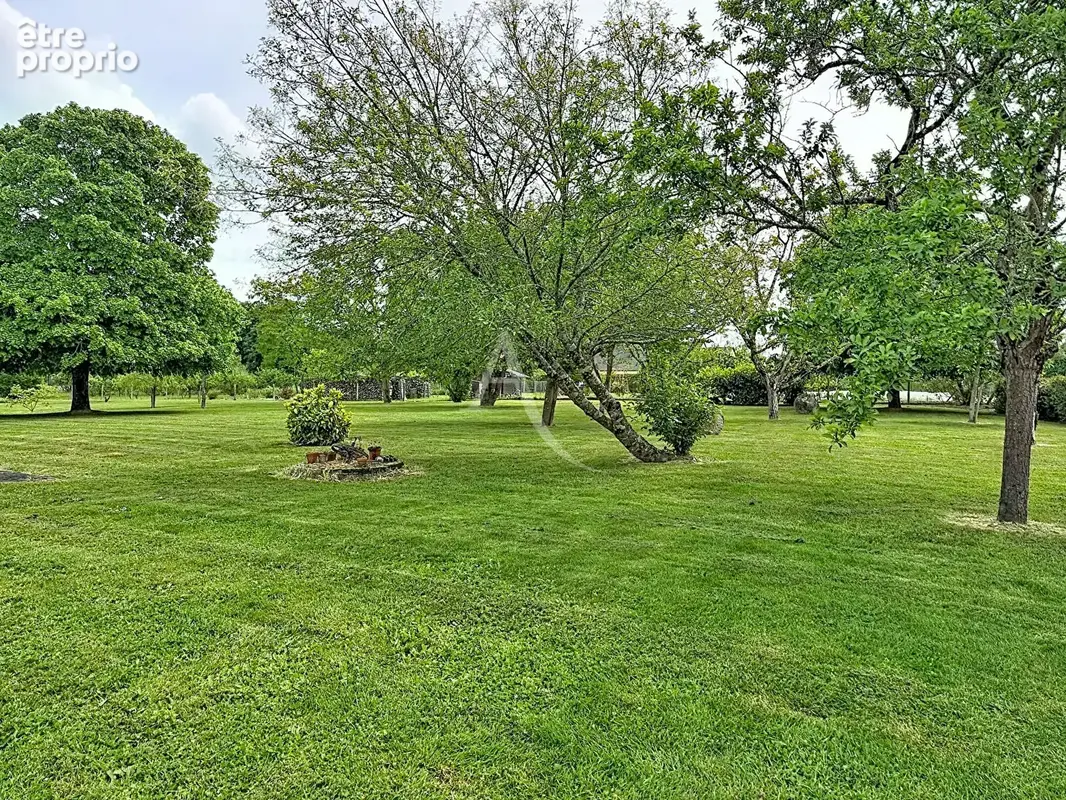 Maison Brissac Loire Aubance - photo 17