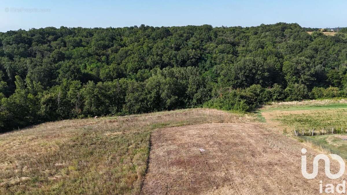 Photo 7 - Terrain à DURFORT-LACAPELETTE