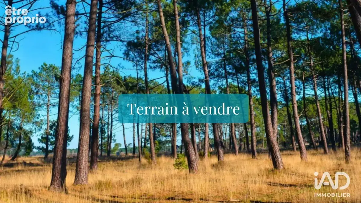 Photo 1 - Terrain à TOSSE