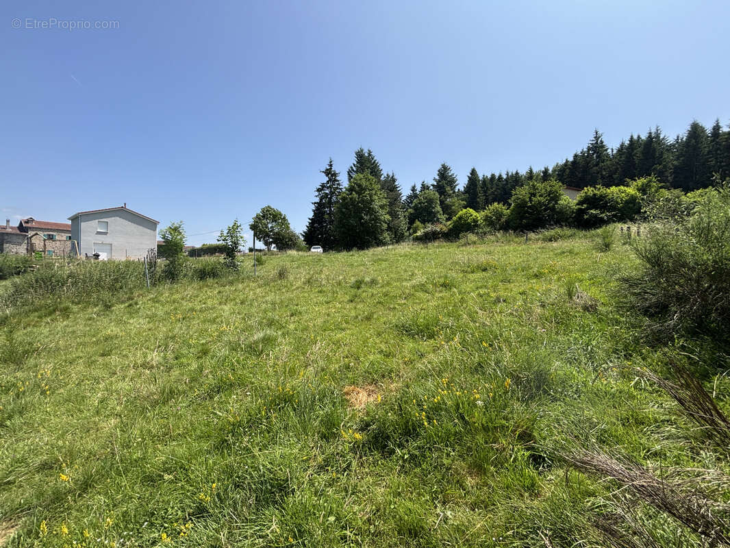 Terrain à SAINT-PAL-DE-MONS