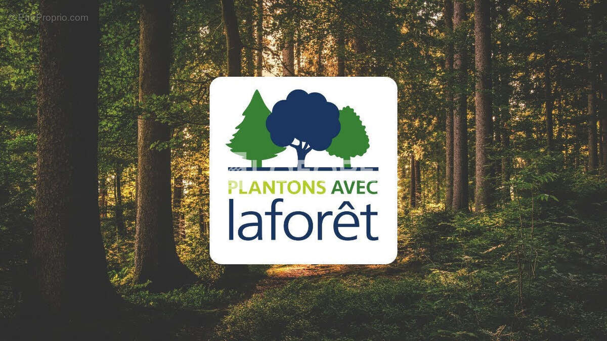 Maison à L'ISLE-SUR-LA-SORGUE