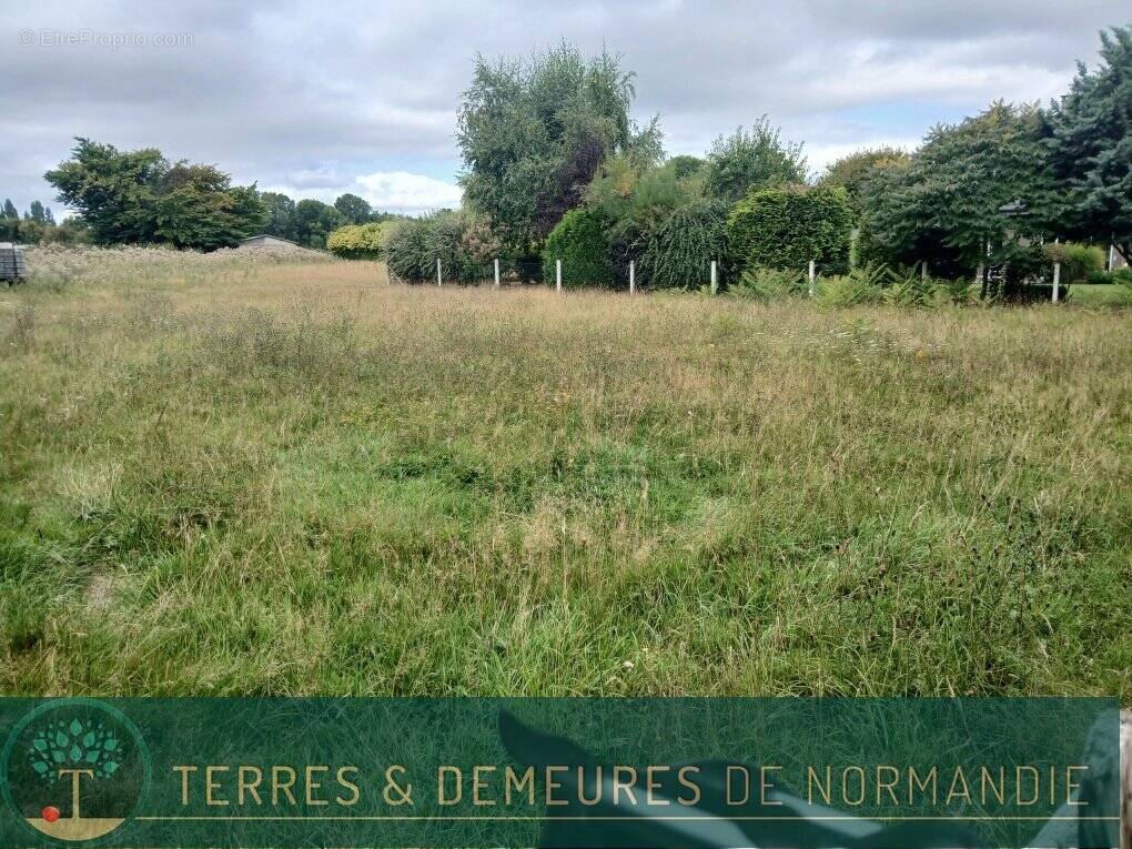 Terrain à BEUZEVILLE