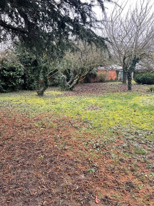 Terrain à CORMEILLES-EN-PARISIS