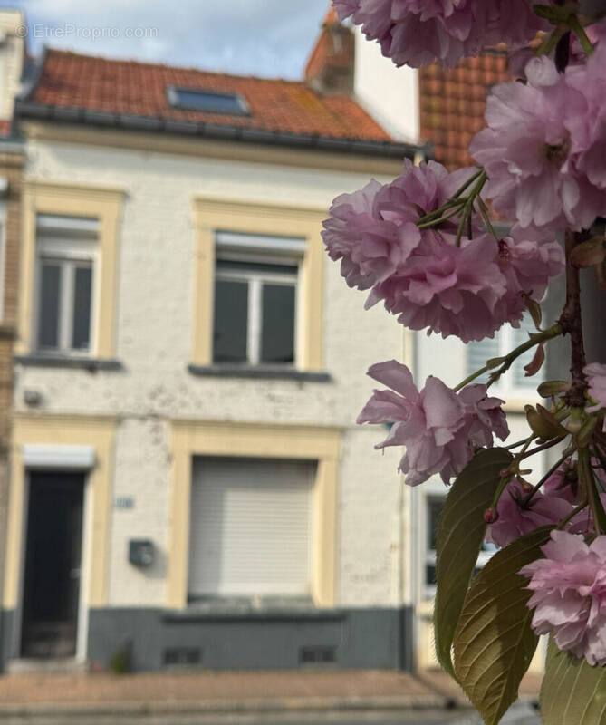 Maison à SANGATTE