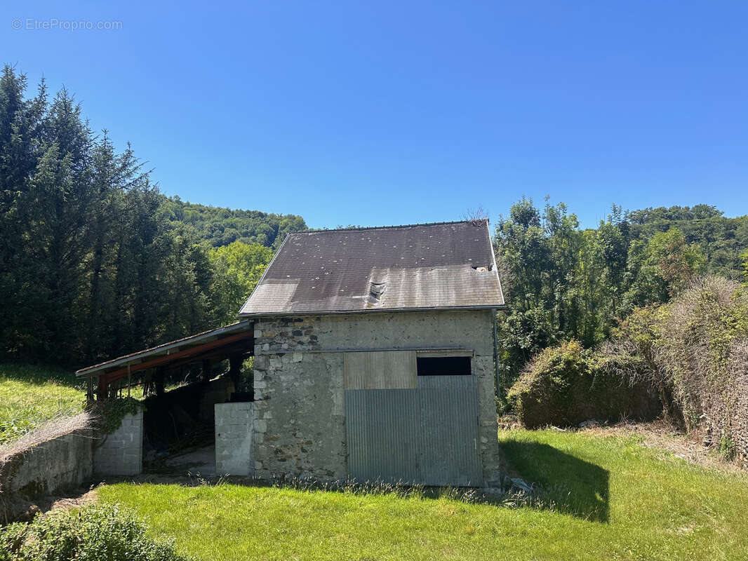 Maison sur Arudy, bien atypique avec de nombreuses possibilités. Isolé de tout, cadre de vie magnifique. - photo 2