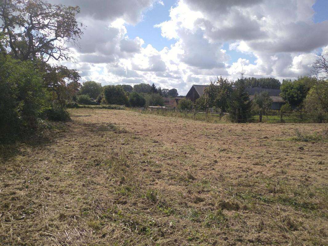 Magnifique ensemble immobilier !  (lot de 2 maisons) - photo 13