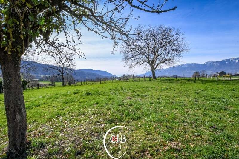 Planaise – Terrain constructible de 473 m² viabilisé - photo 11