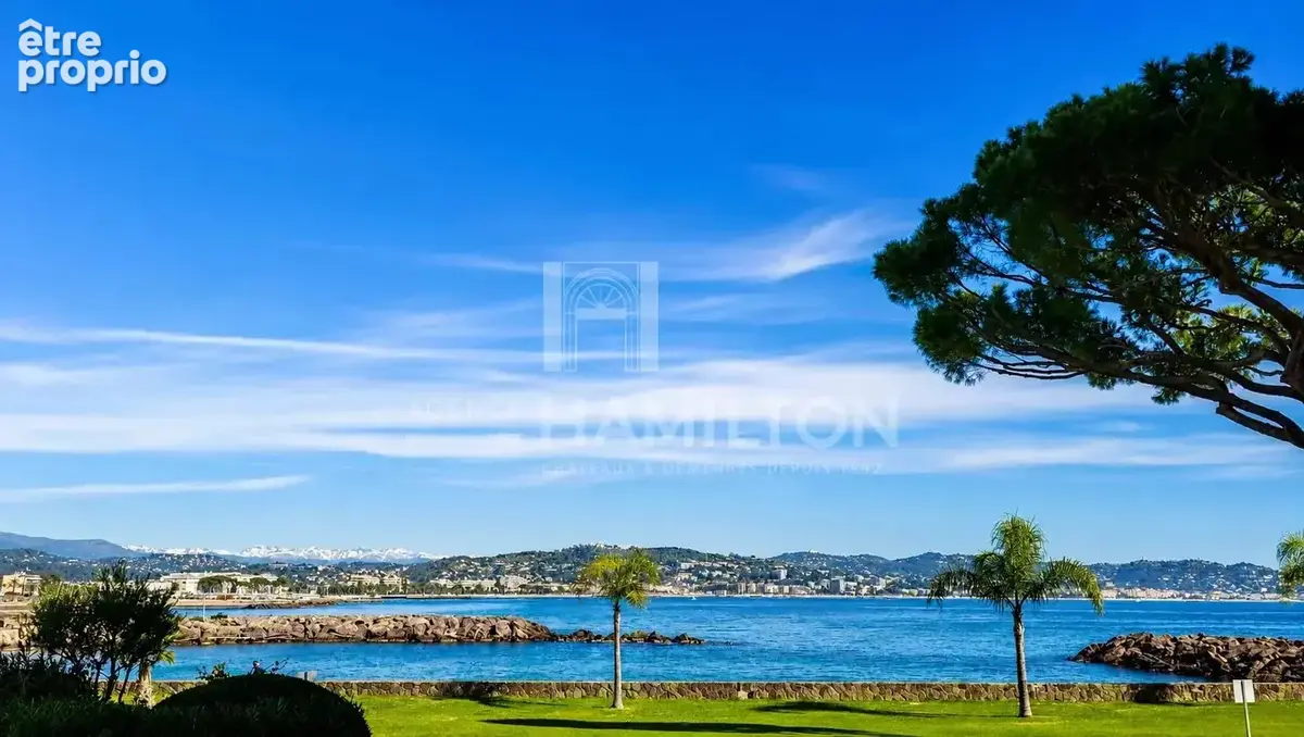 À 15 m de la Plage  Appartement Vue Mer aux Portes de Cannes - photo 7