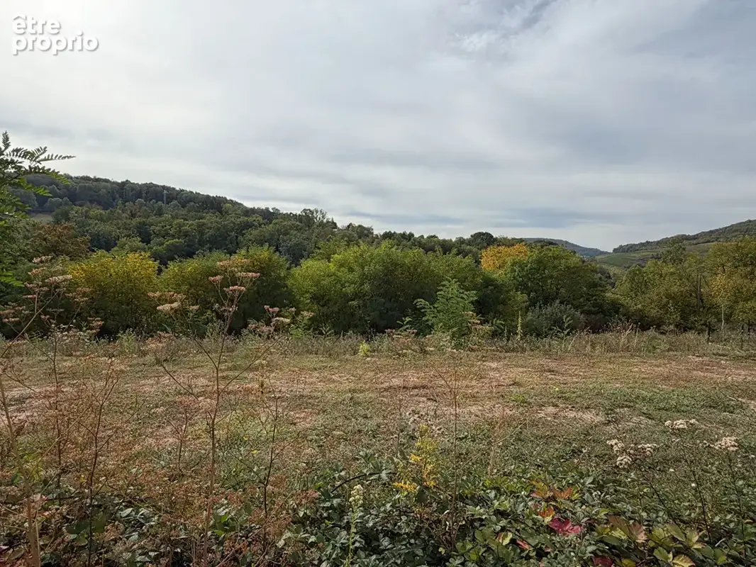 Terrain constructible à Apach 503 m2 - photo 6