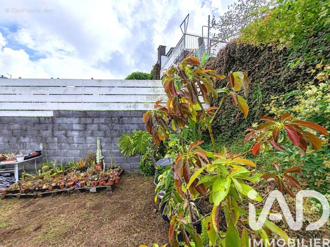 Photo 5 - Maison à SAINT-PIERRE