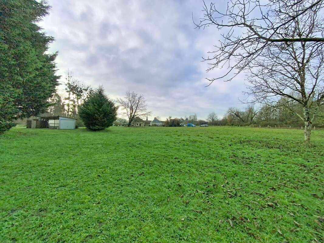 Terrain à AVRILLE-LES-PONCEAUX