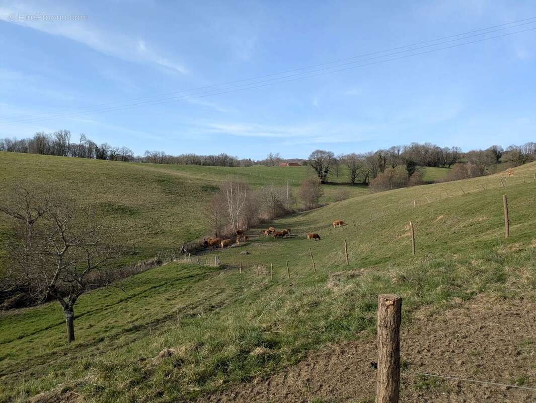 Maison à LACAPELLE-MARIVAL