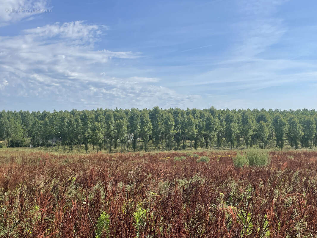 Terrain à CASTELJALOUX