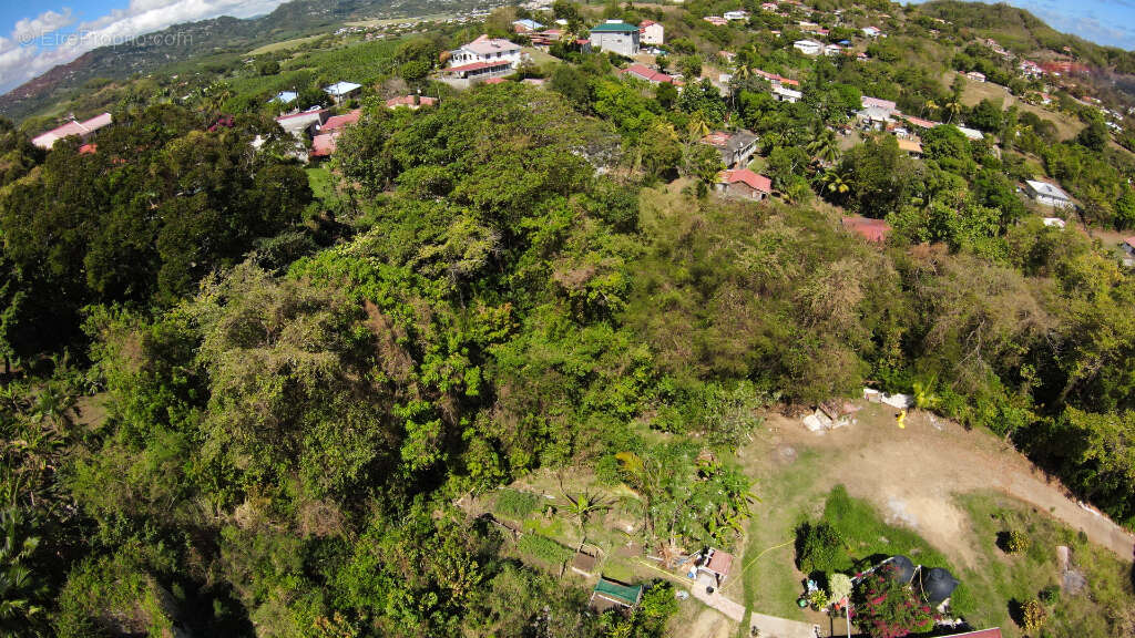 Terrain à LE FRANCOIS