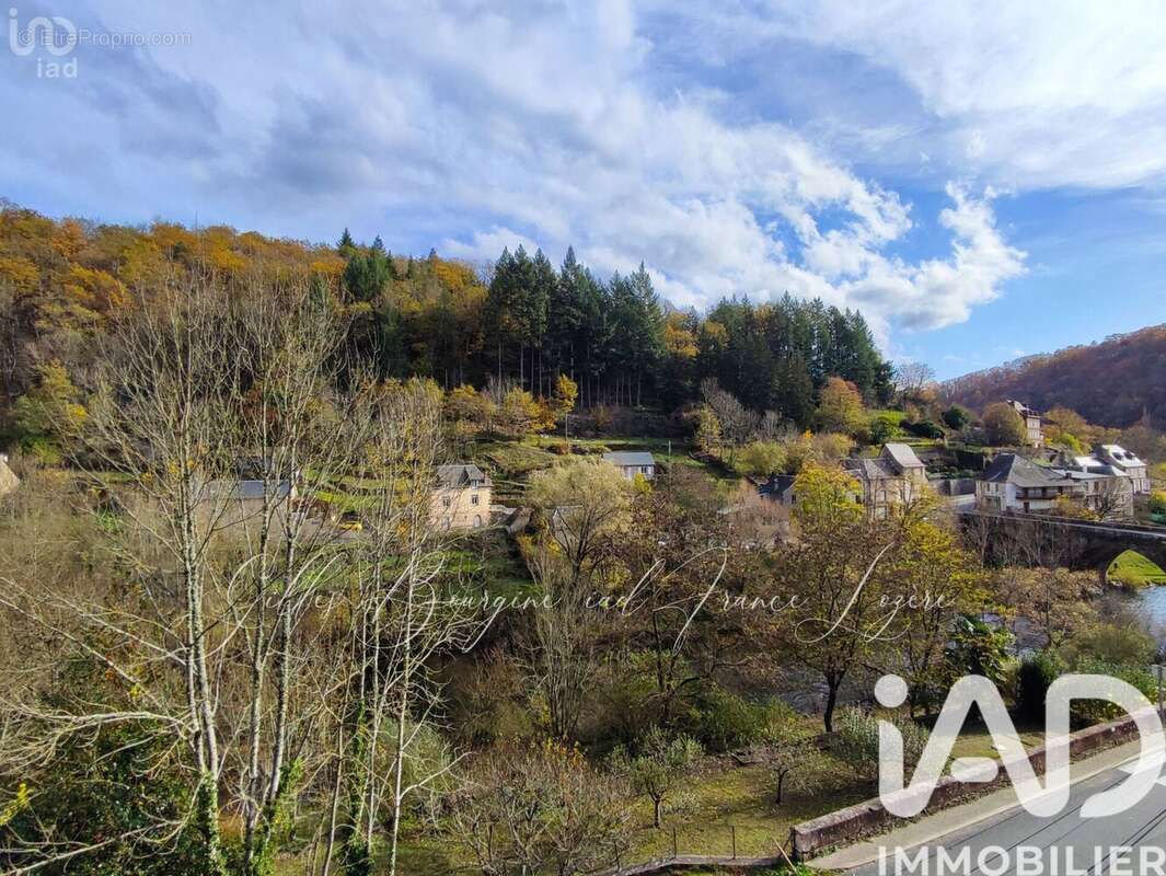 Photo 3 - Maison à SAINT-LAURENT-D'OLT