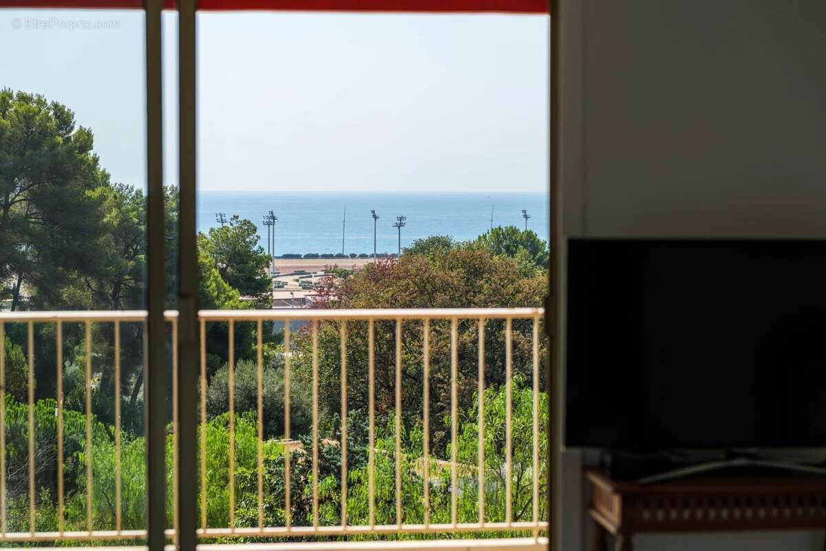 5P d'angle - Domaine du Loup - Vue Mer et Parc - photo 14