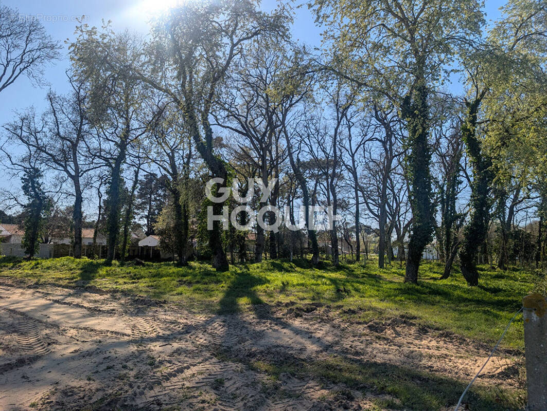 Terrain à SAINT-JEAN-DE-MONTS
