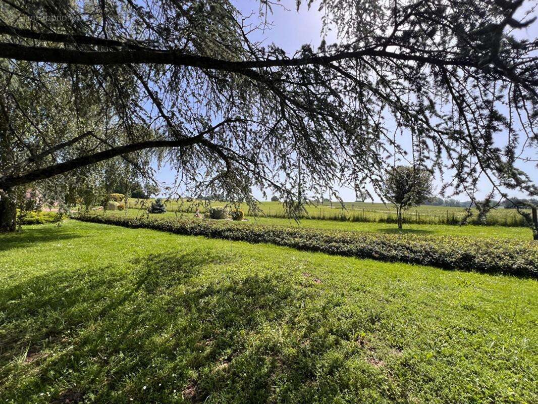 Maison - Verneil Le Chetif - 5 pièce(s) - 148 m² - photo 4