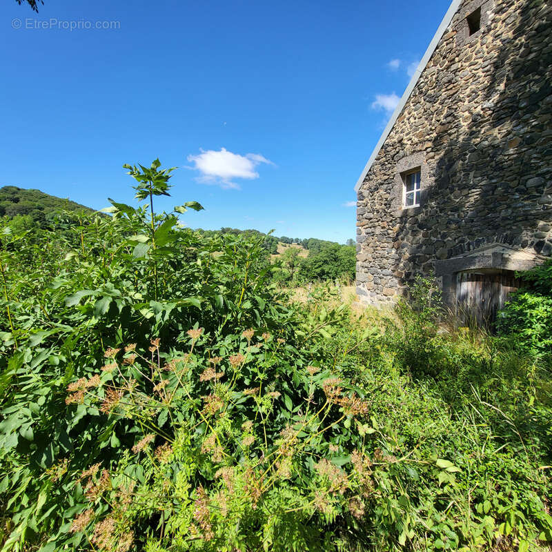 Grange en pierres - photo 9