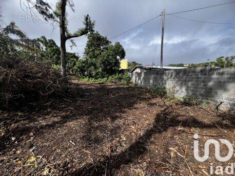 Photo 1 - Terrain à SAINT-PIERRE