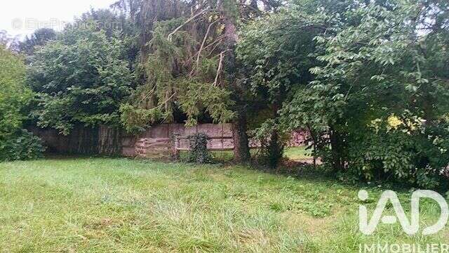 Photo 2 - Terrain à CONGIS-SUR-THEROUANNE