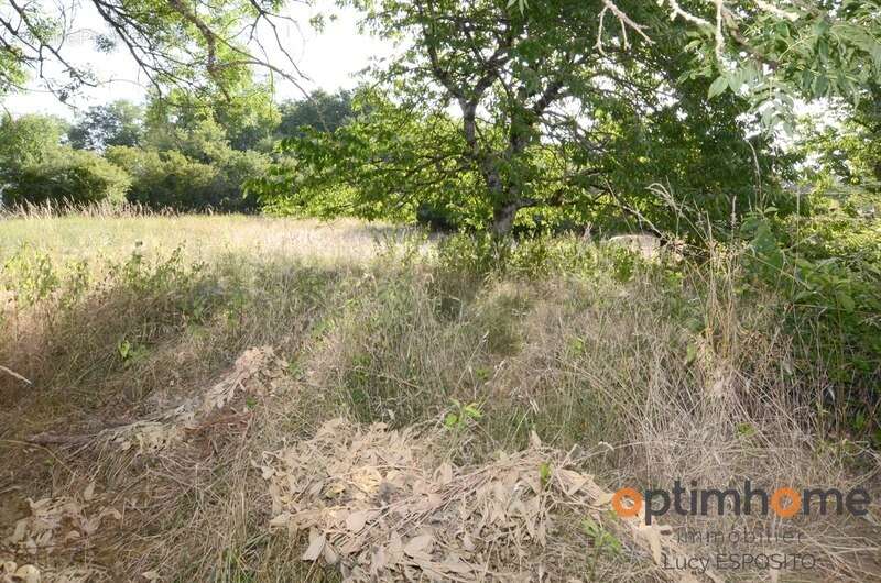  Maison en pierre à rénover avec terrain à bâtir – Nieuil (16)  - photo 17