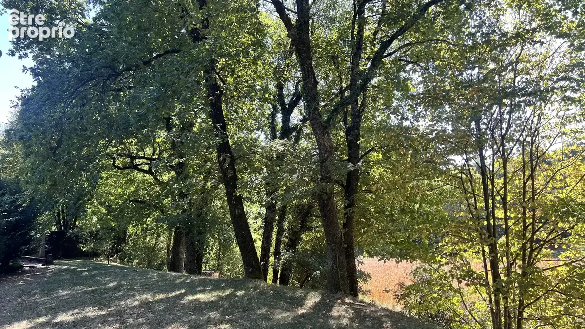 Campagne 200 m² grand terrain 8500 m² - photo 38